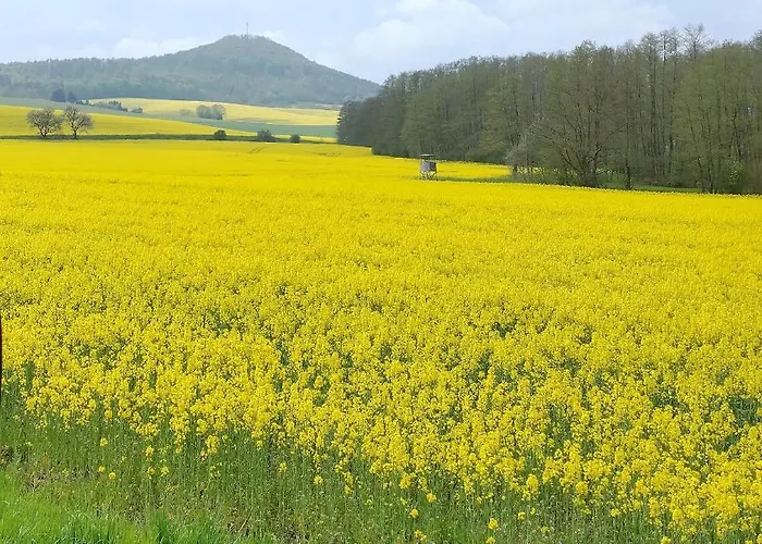 Am Krayenberg Appartamento *