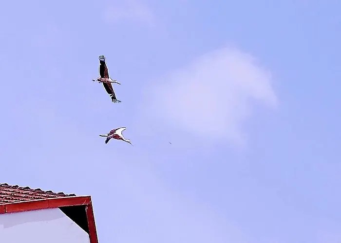 Am Krayenberg Apartmán *